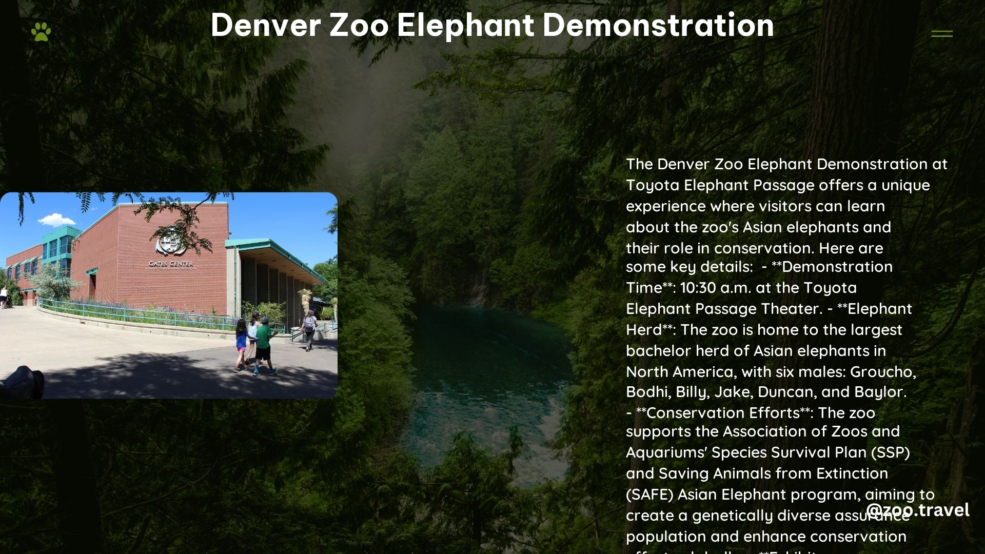 Denver Zoo Elephant Demonstration