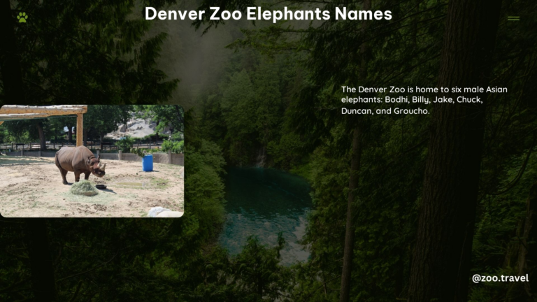 Denver Zoo Elephants Names