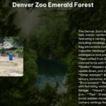 Denver Zoo Emerald Forest