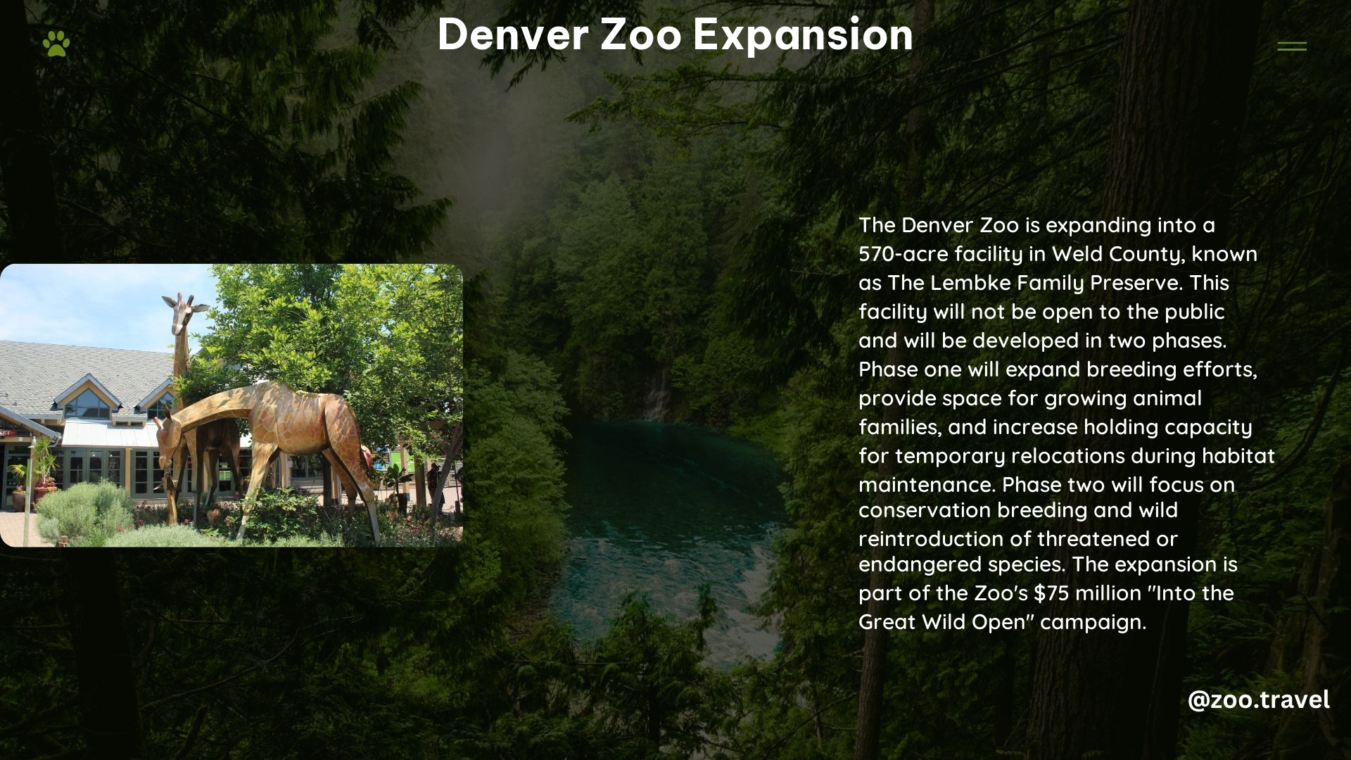 Denver Zoo Expansion: Transforming Conservation Efforts In Colorado 