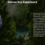 Denver Zoo Experience