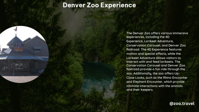 Denver Zoo Experience