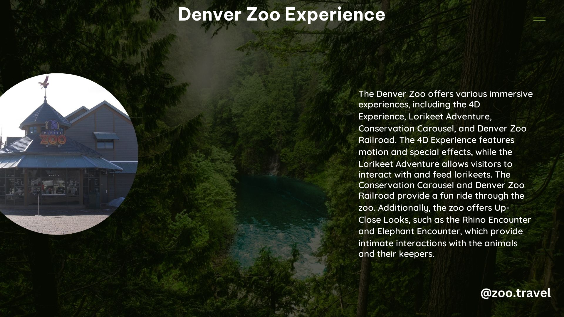 Denver Zoo Experience