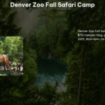 Denver Zoo Fall Safari Camp