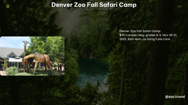 Denver Zoo Fall Safari Camp