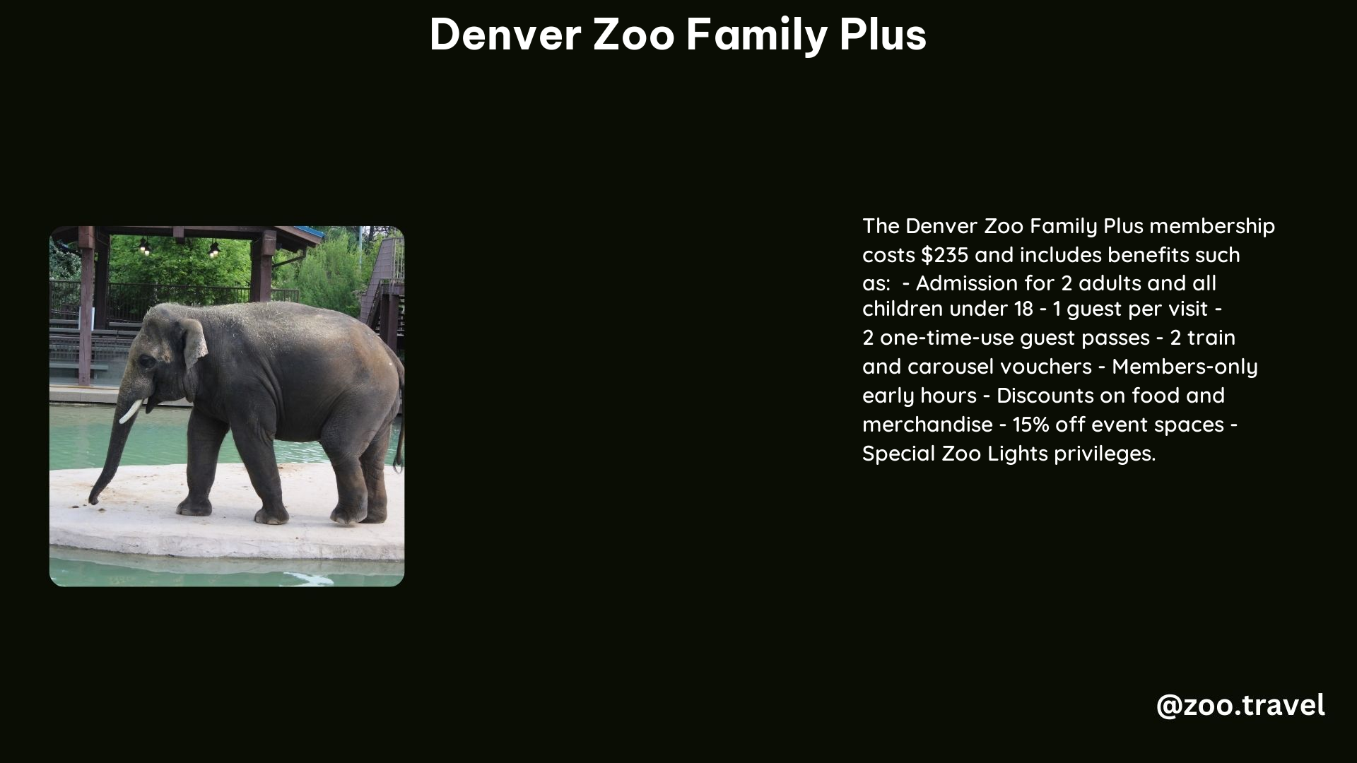 Denver Zoo Family Plus