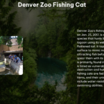 Denver Zoo Fishing Cat