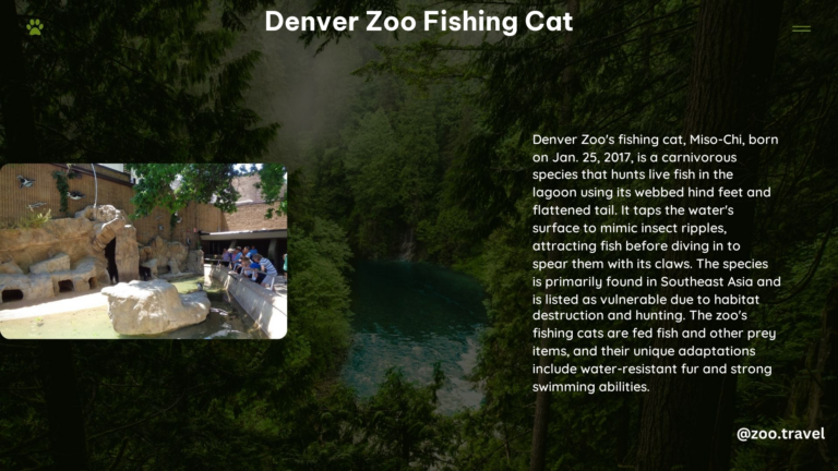 Denver Zoo Fishing Cat