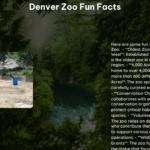 Denver Zoo Fun Facts