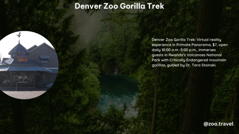 Denver Zoo Gorilla Trek