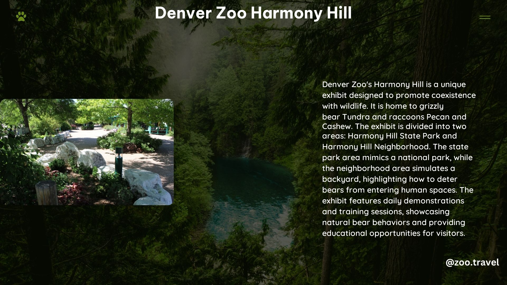 Denver Zoo Harmony Hill