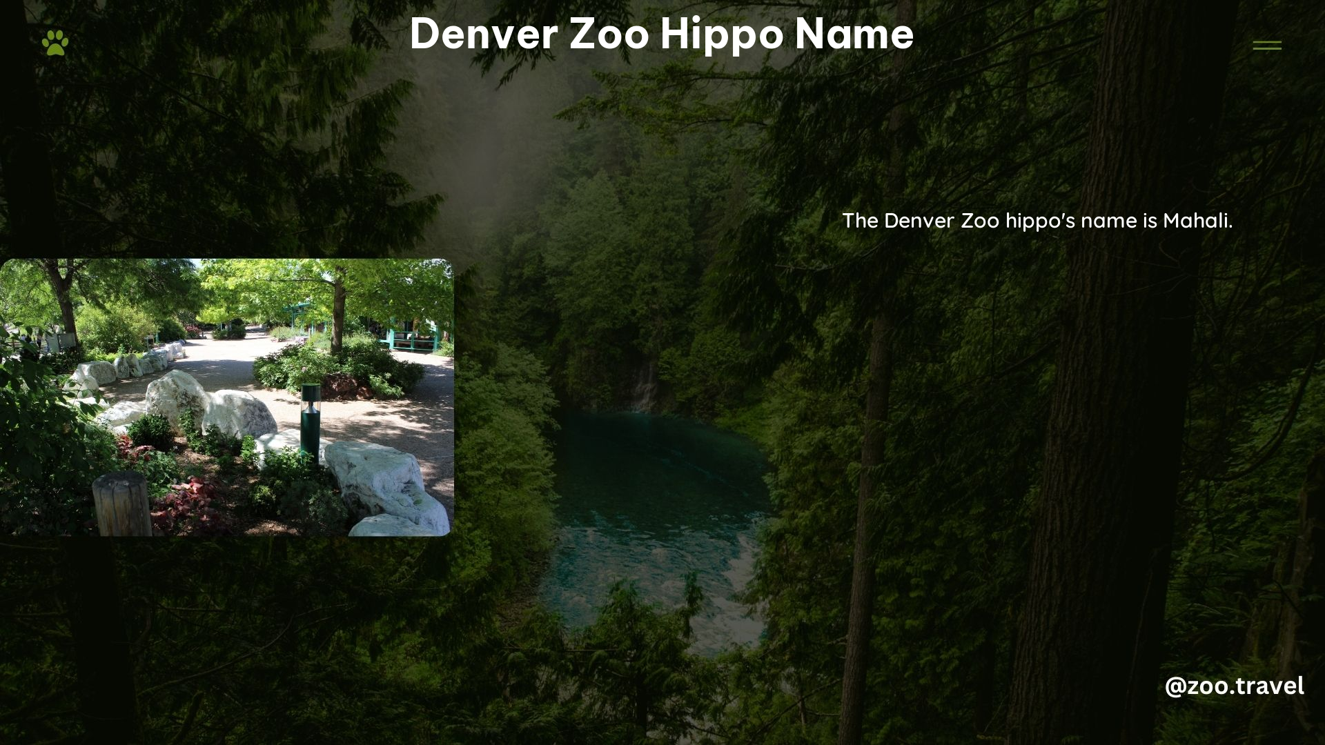 Denver Zoo Hippo Name