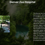 Denver Zoo Hospital