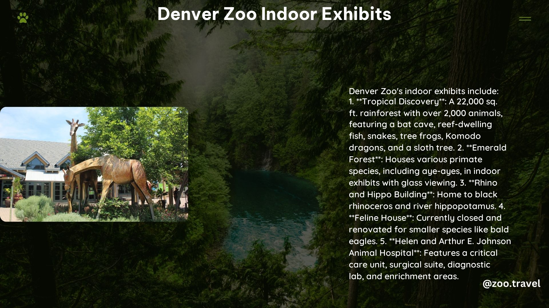 Denver Zoo Indoor Exhibits