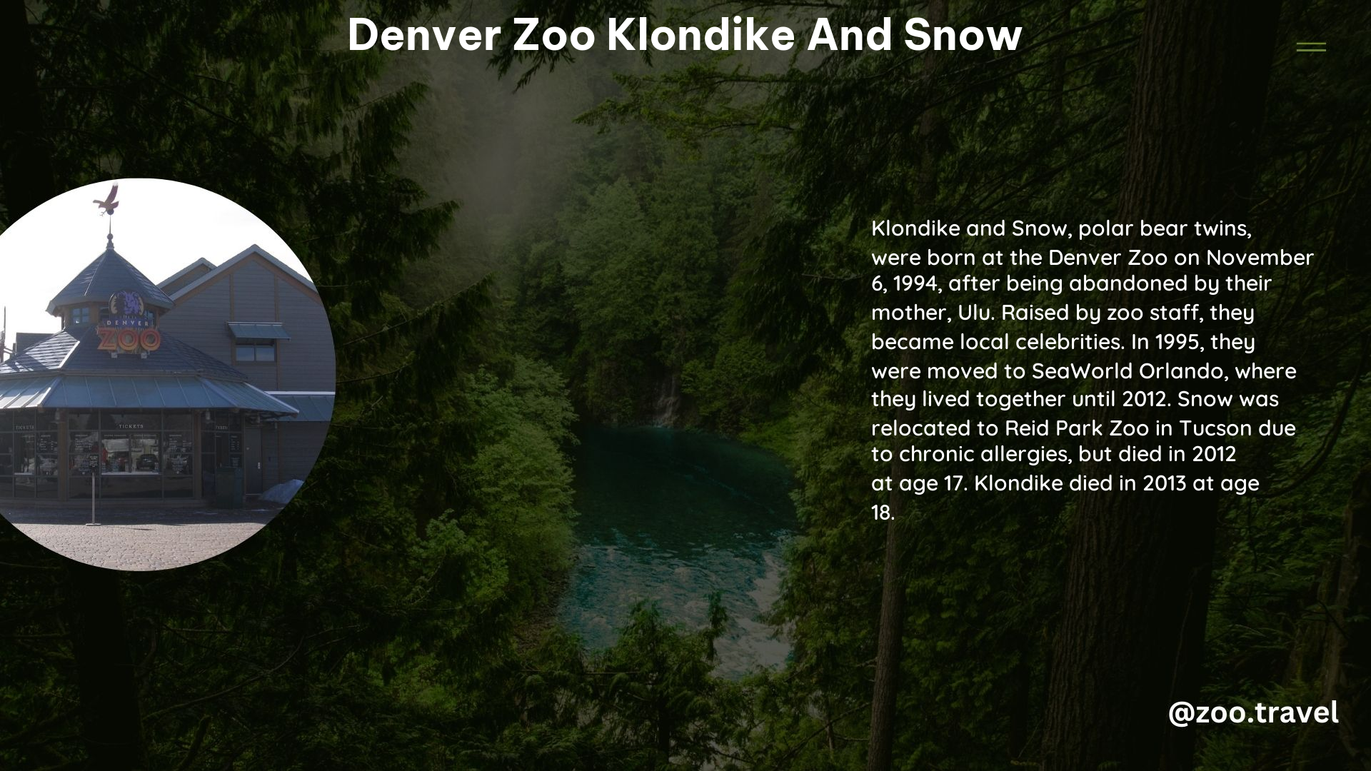 Denver Zoo Klondike and Snow