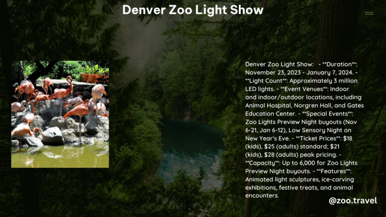 Denver Zoo Light Show