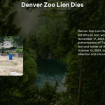 Denver Zoo Lion Dies