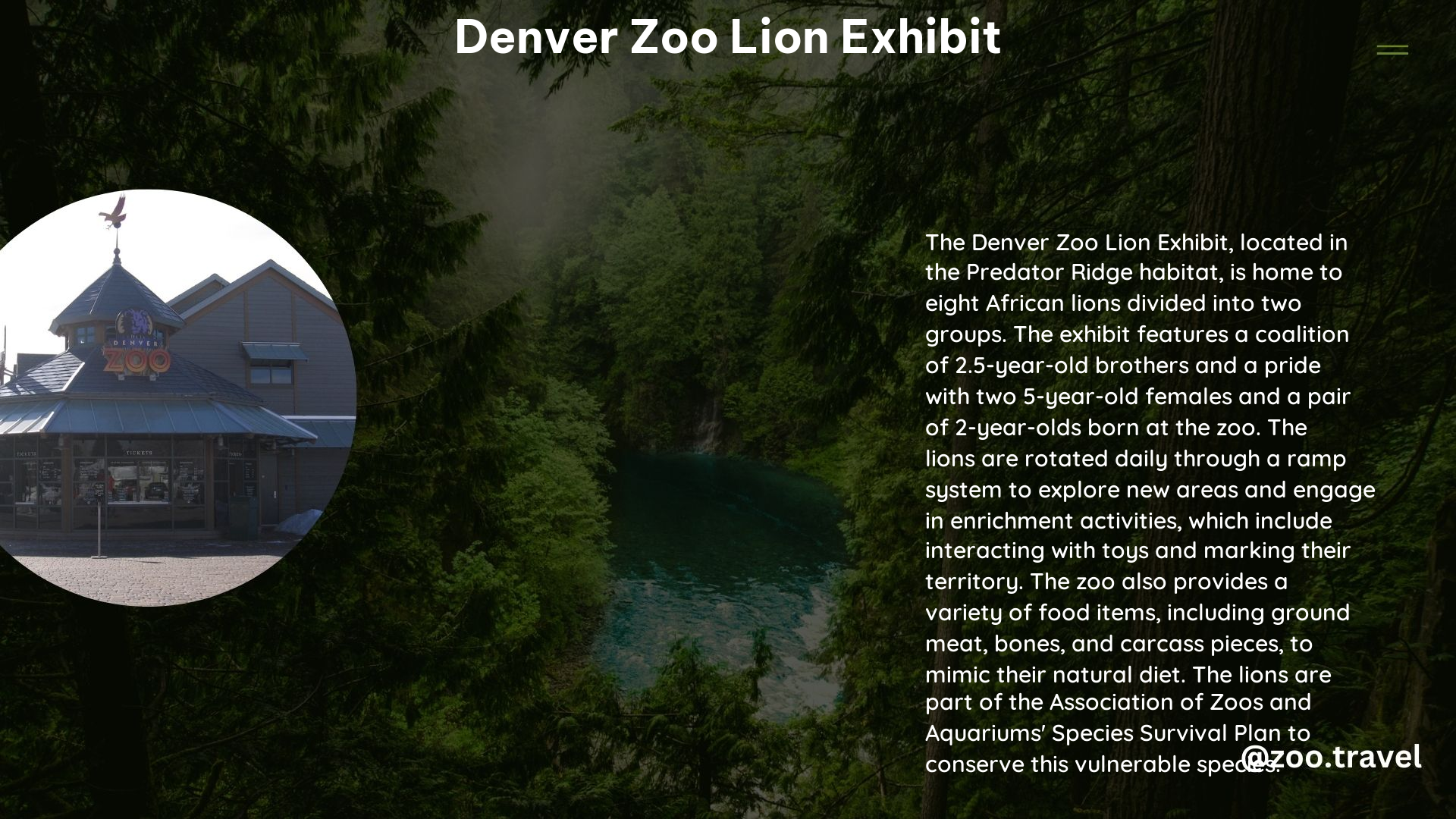 Denver Zoo Lion Exhibit