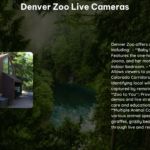 Denver Zoo Live Cameras