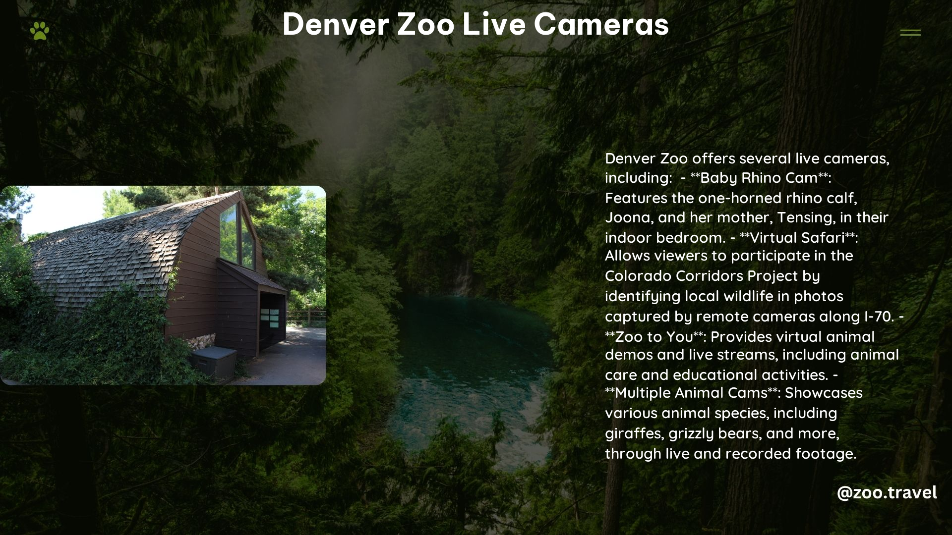 Denver Zoo Live Cameras