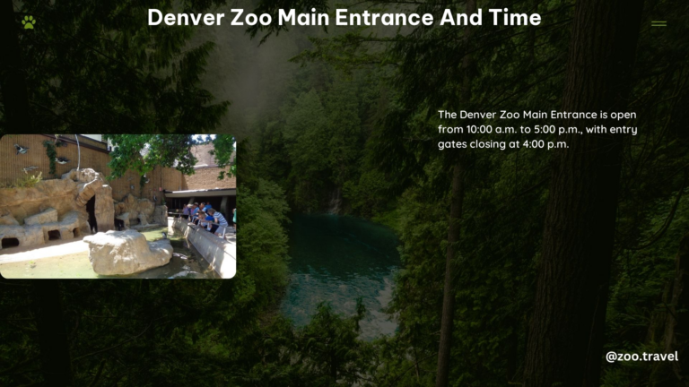 Denver Zoo Main Entrance and Time