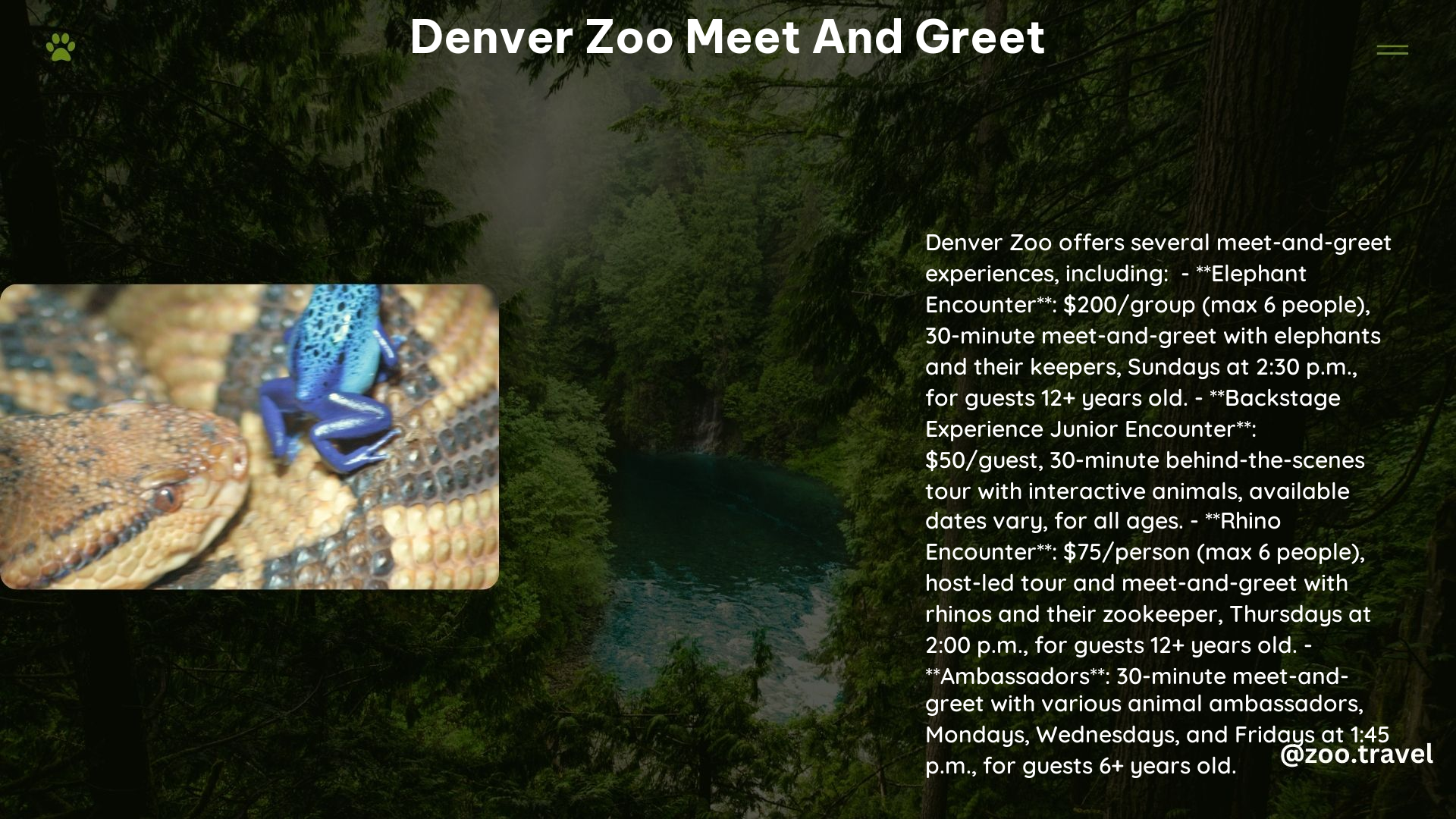 Denver Zoo Meet and Greet