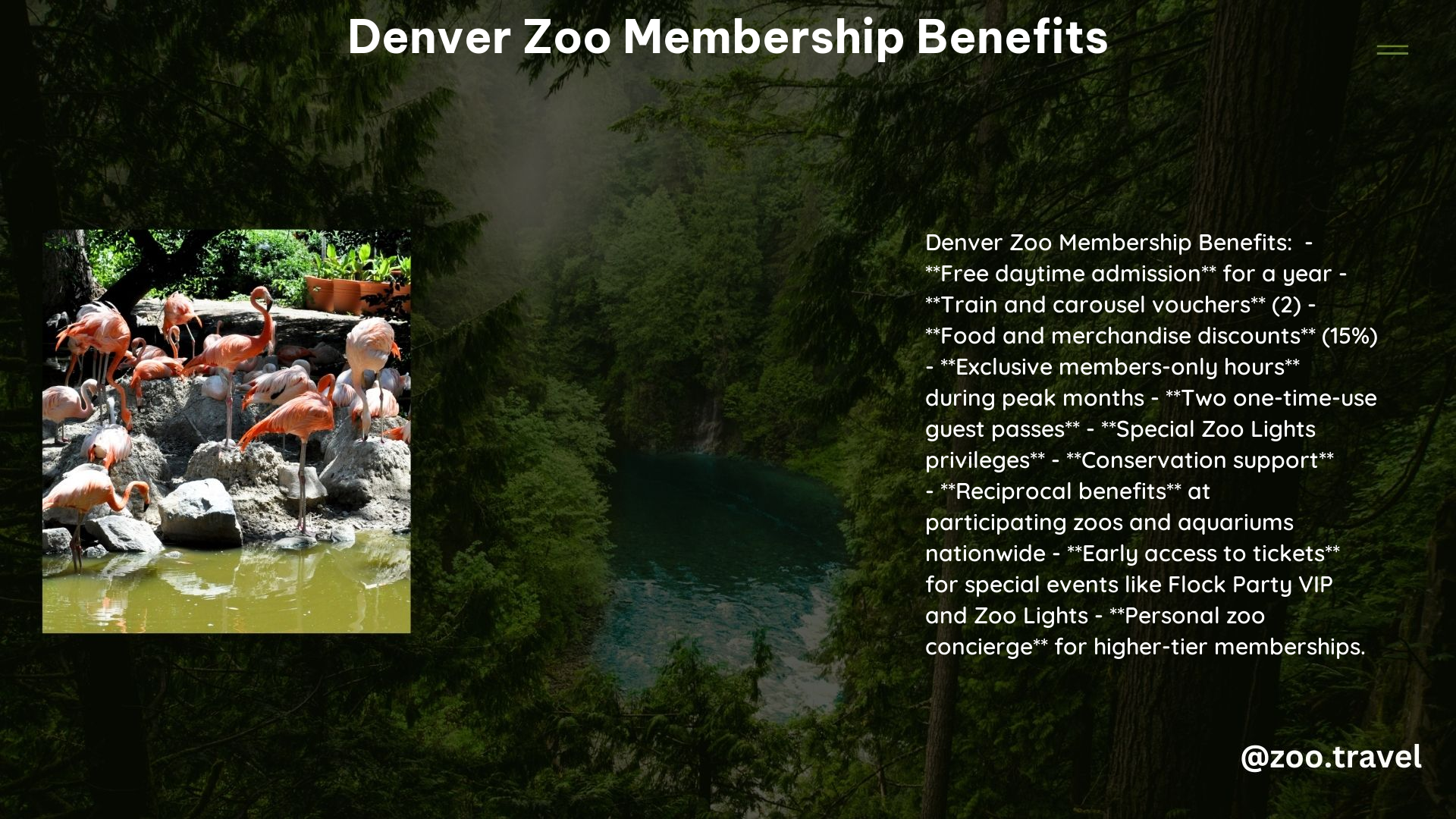 Denver Zoo Membership Benefits