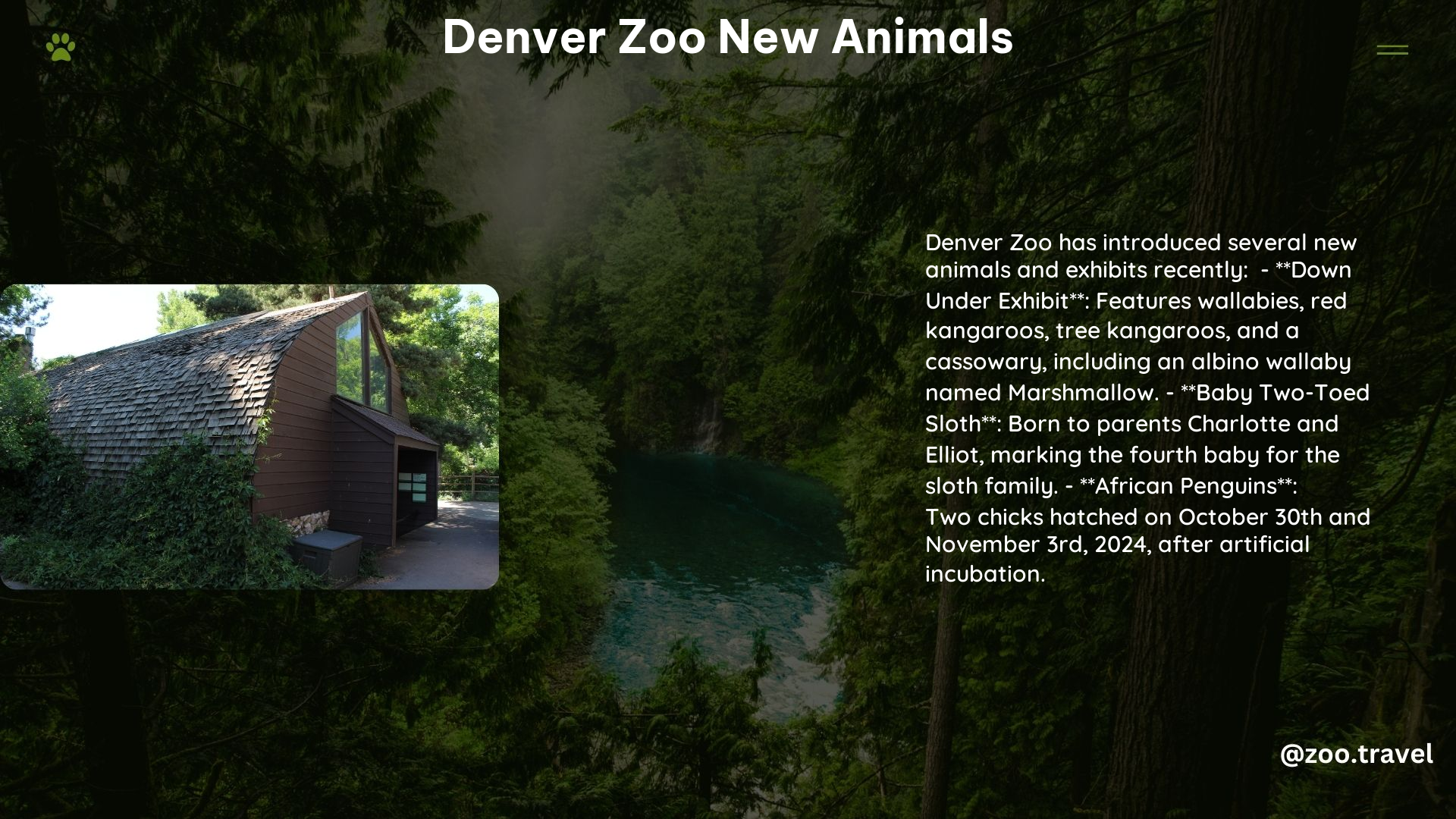 Denver Zoo New Animals