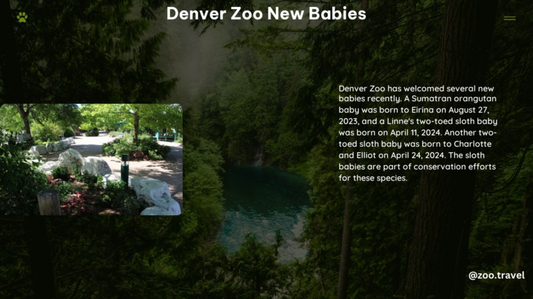 Denver Zoo New Babies