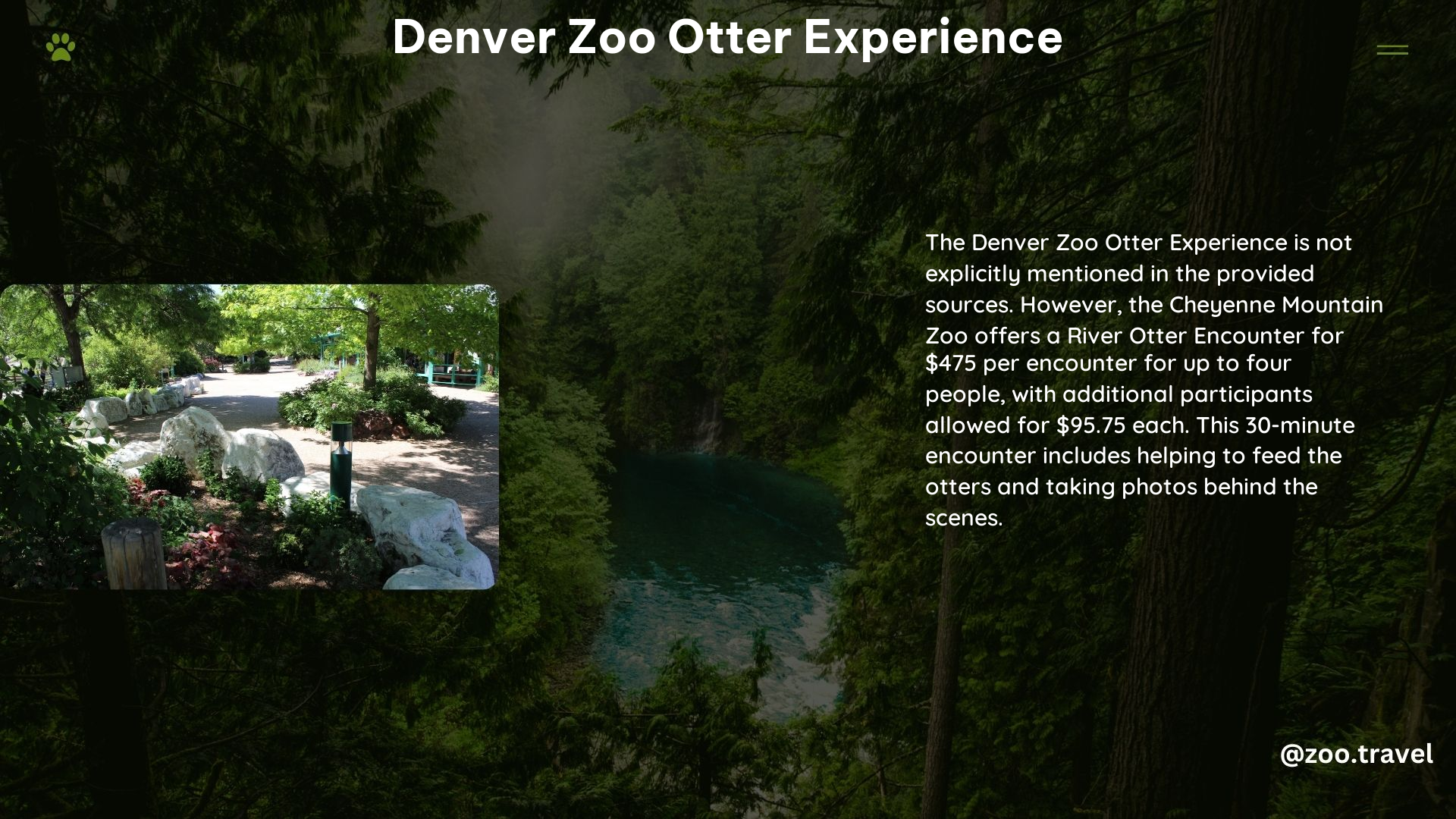 Denver Zoo Otter Experience