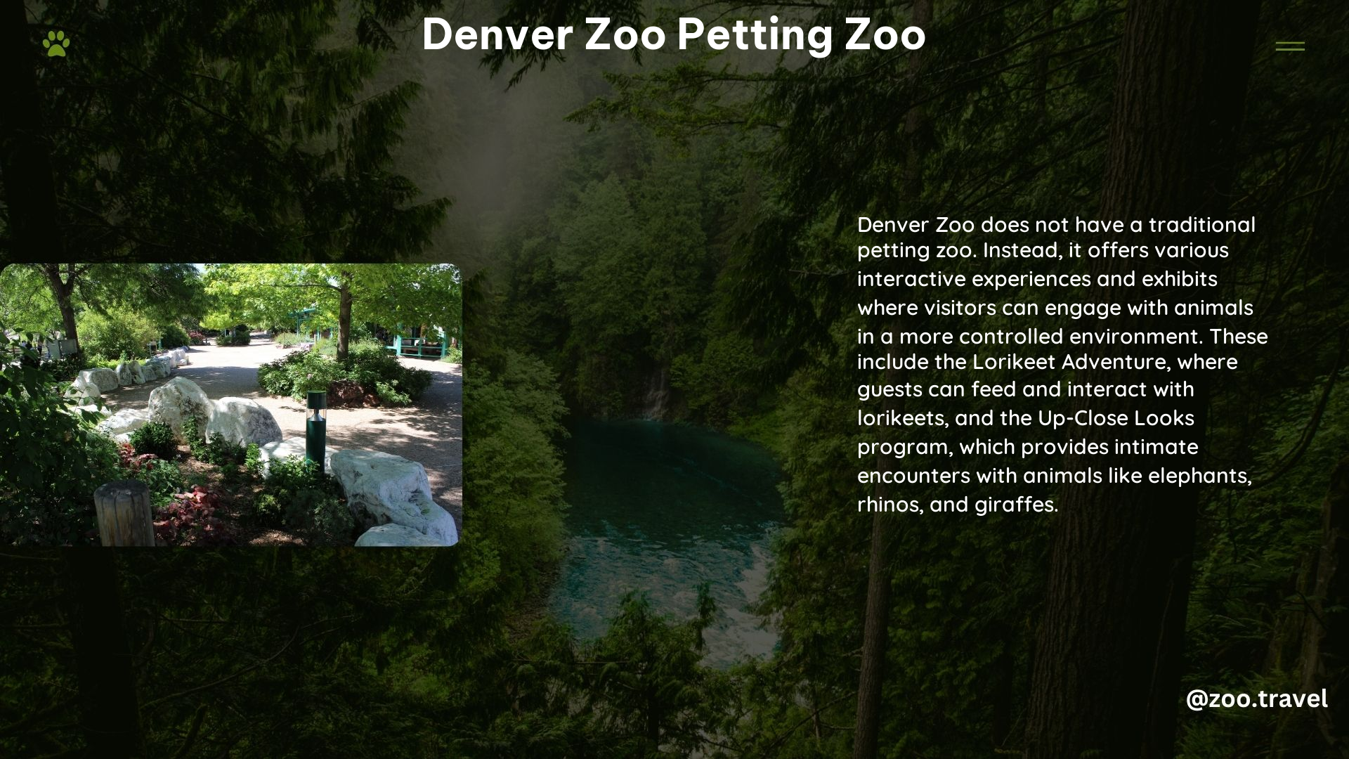 Denver Zoo Petting Zoo