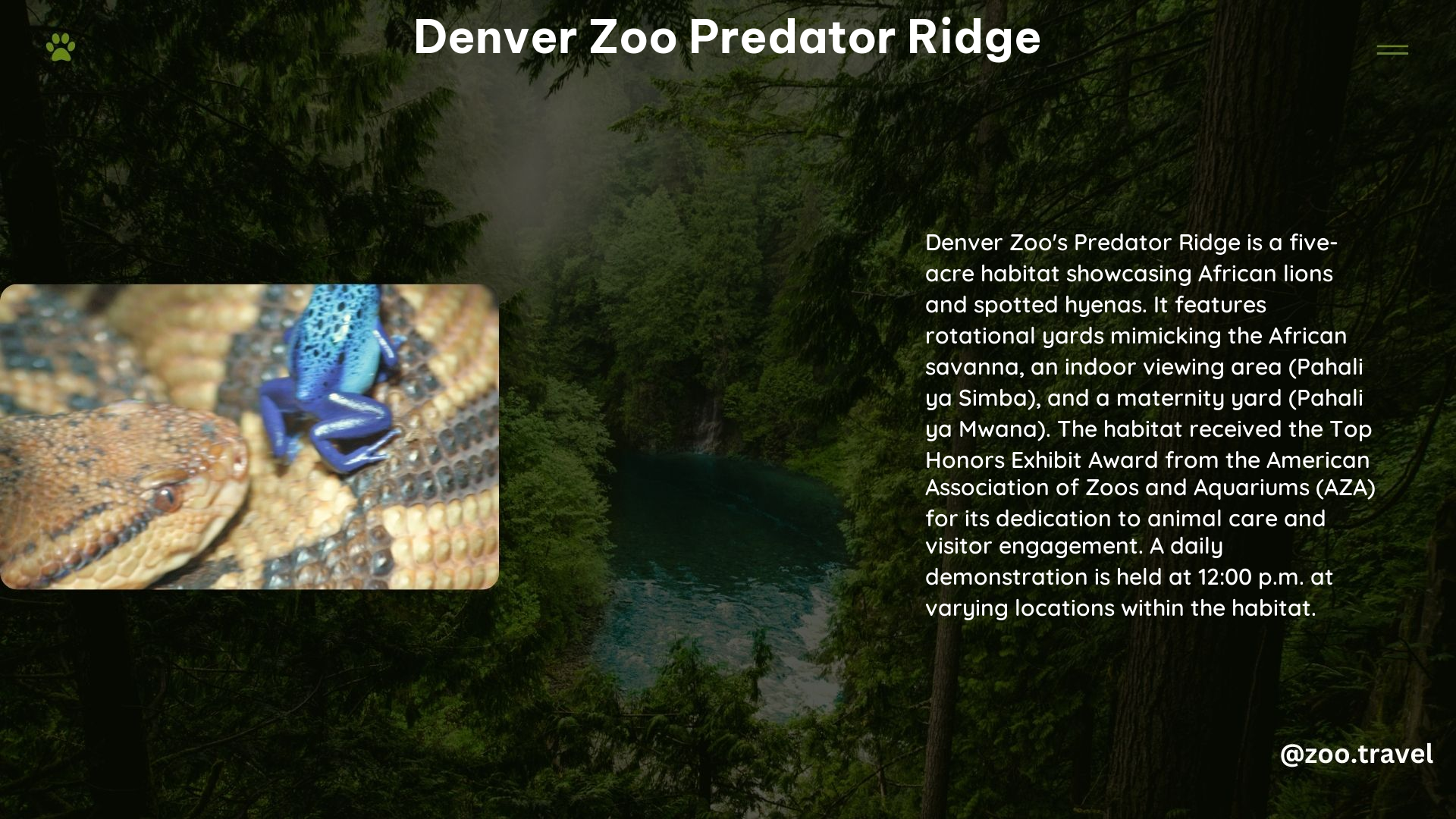 Denver Zoo Predator Ridge