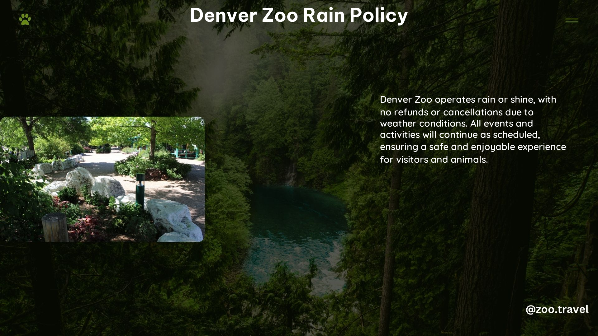 Denver Zoo Rain Policy