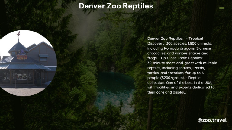 Denver Zoo Reptiles