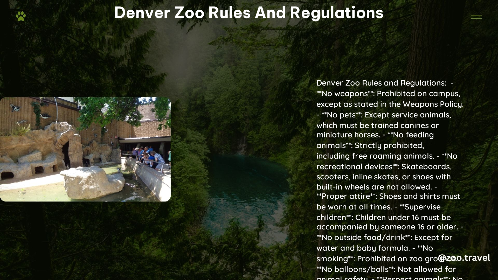 Denver Zoo Rules and Regulations