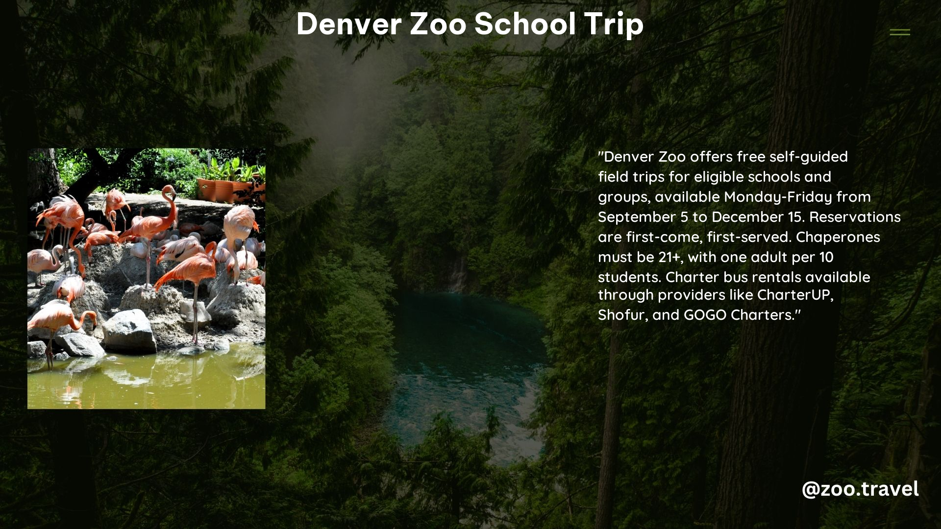 Denver Zoo School Trip