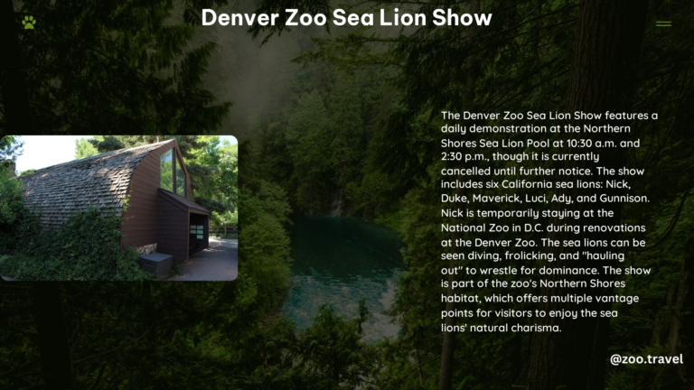 Denver Zoo Sea Lion Show