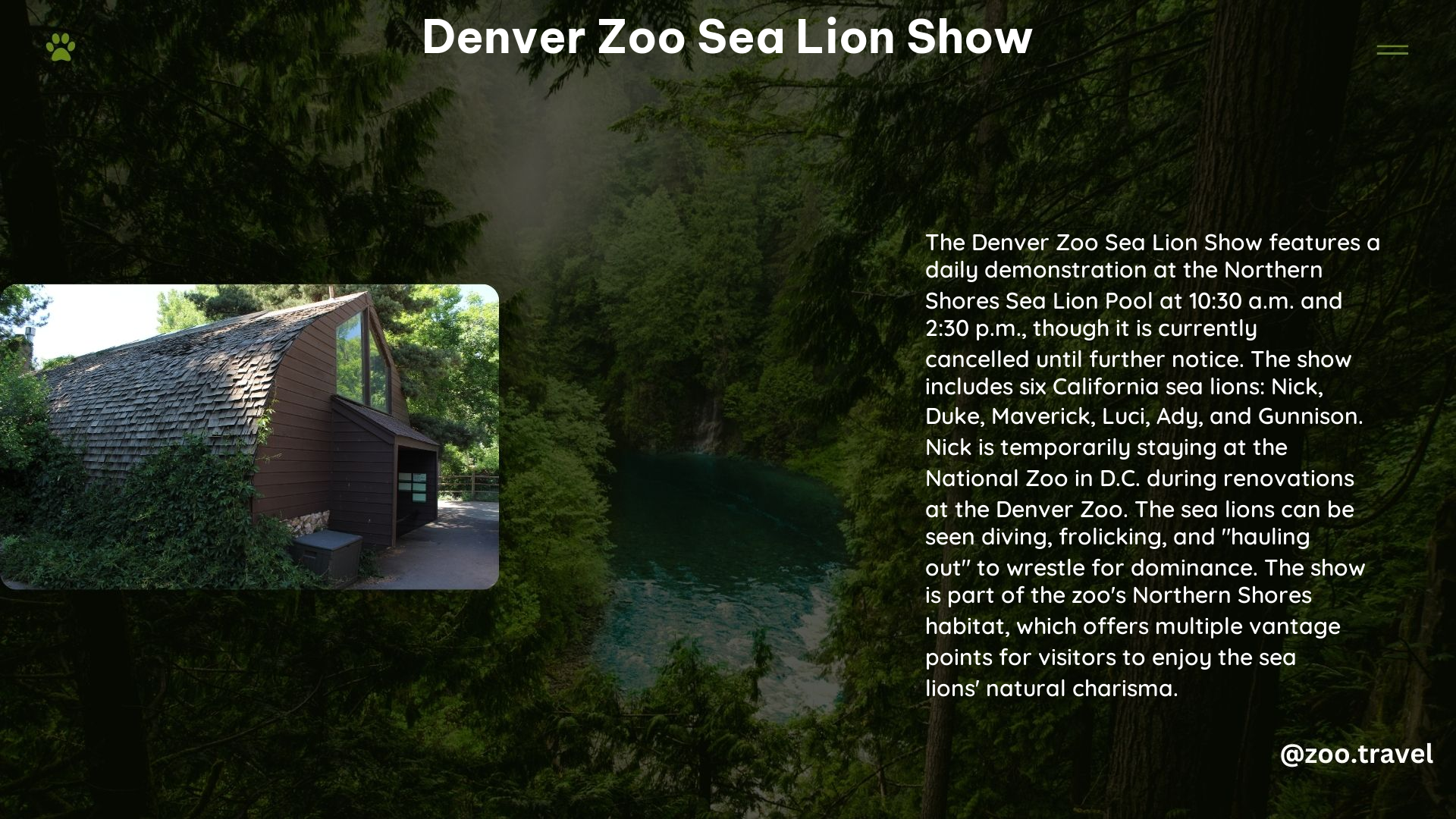 Denver Zoo Sea Lion Show