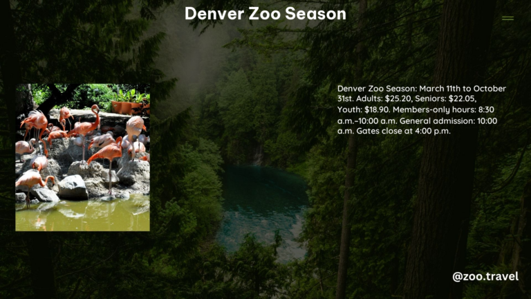 Denver Zoo Season