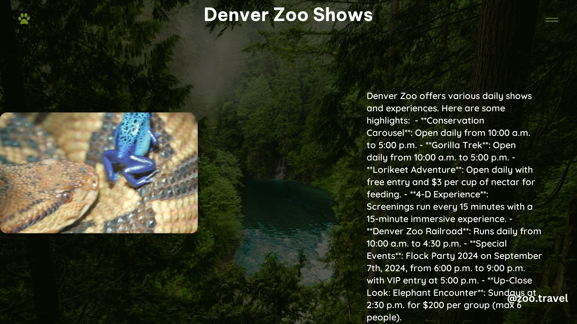 Denver Zoo Shows