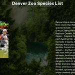 Denver Zoo Species List