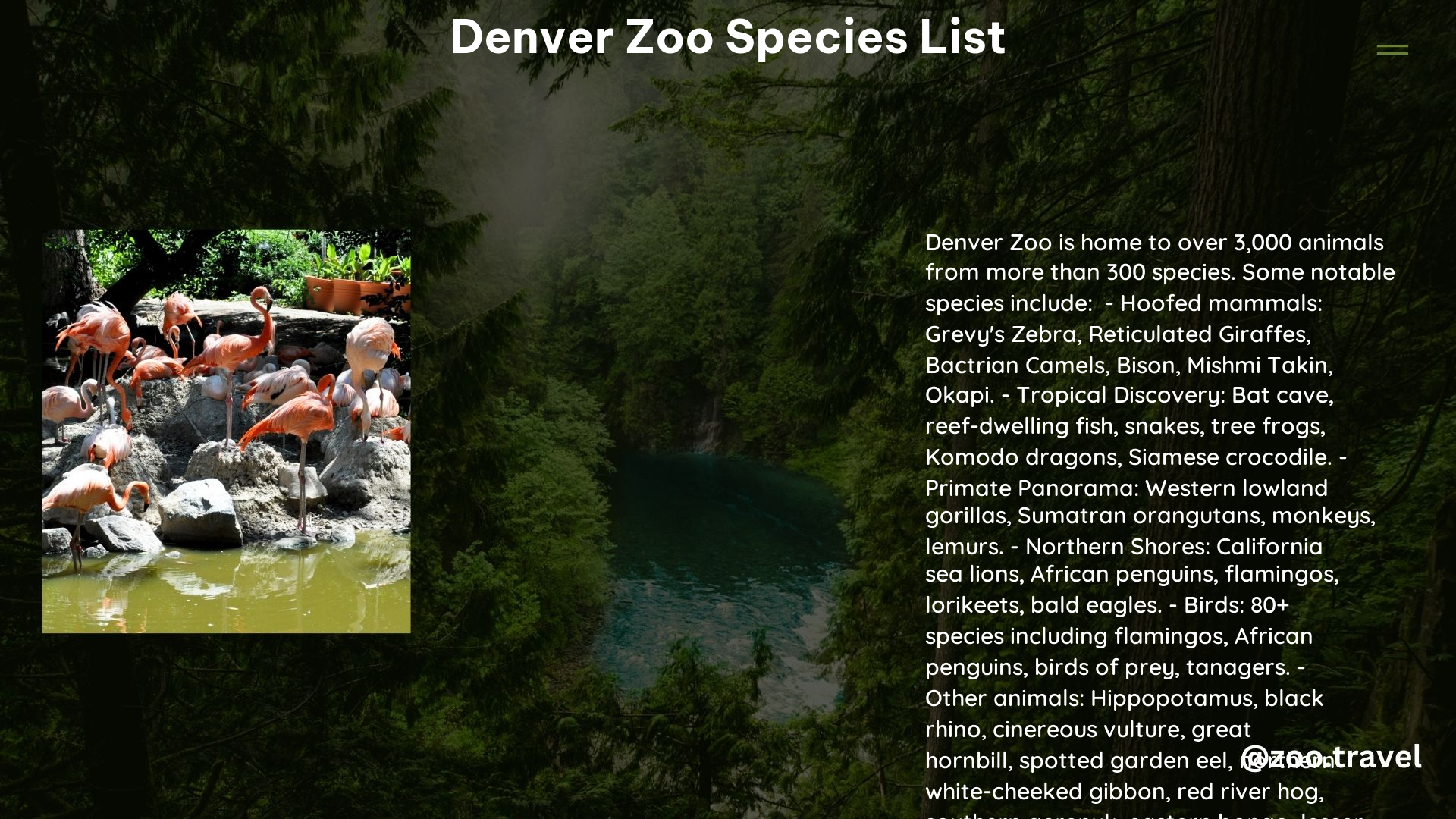 Denver Zoo Species List