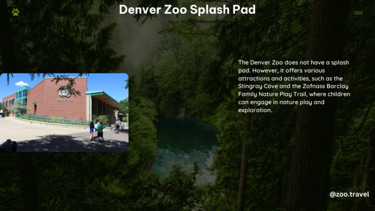 Denver Zoo Splash Pad