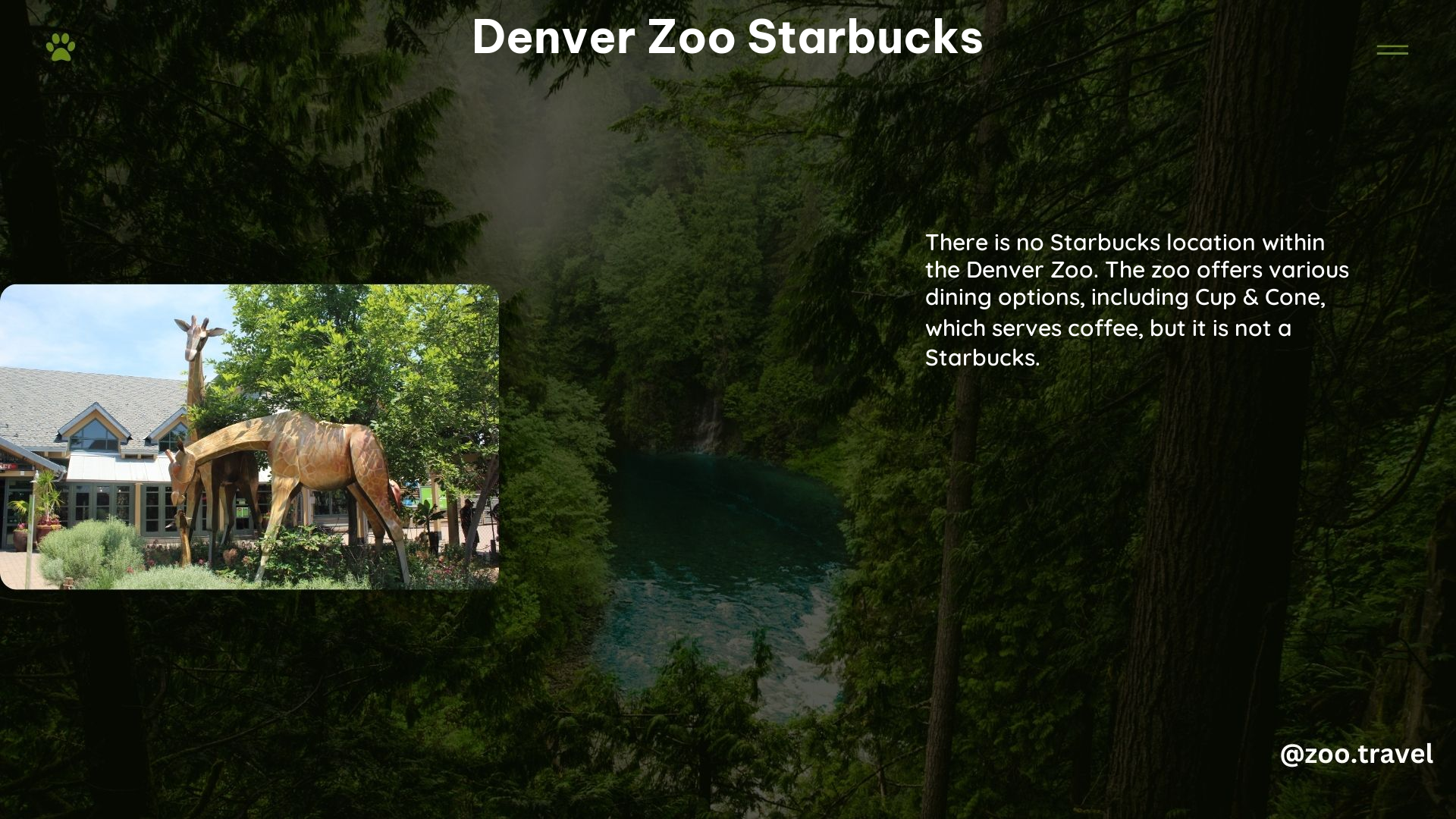 Denver Zoo Starbucks