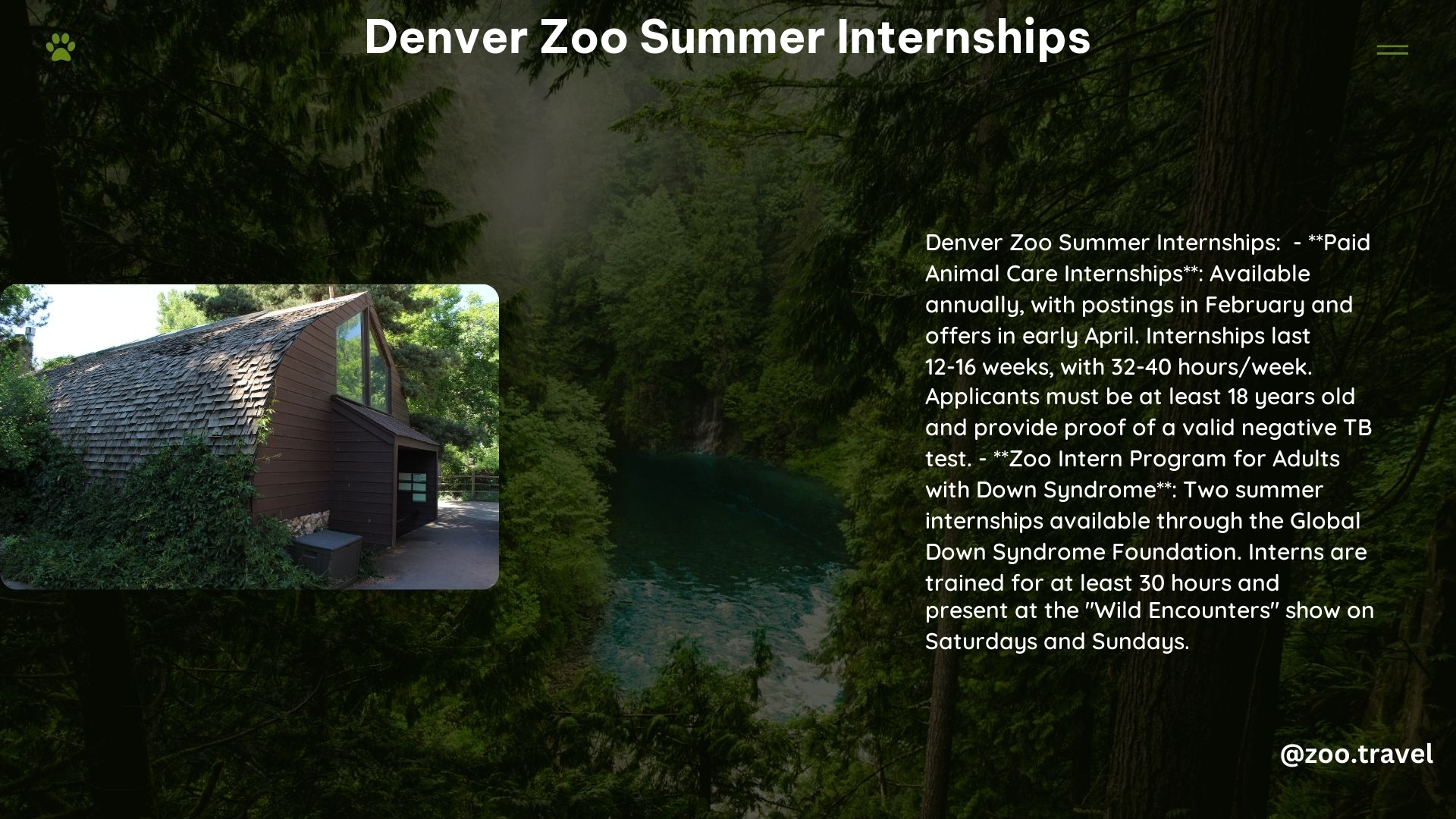 Denver Zoo Summer Internships