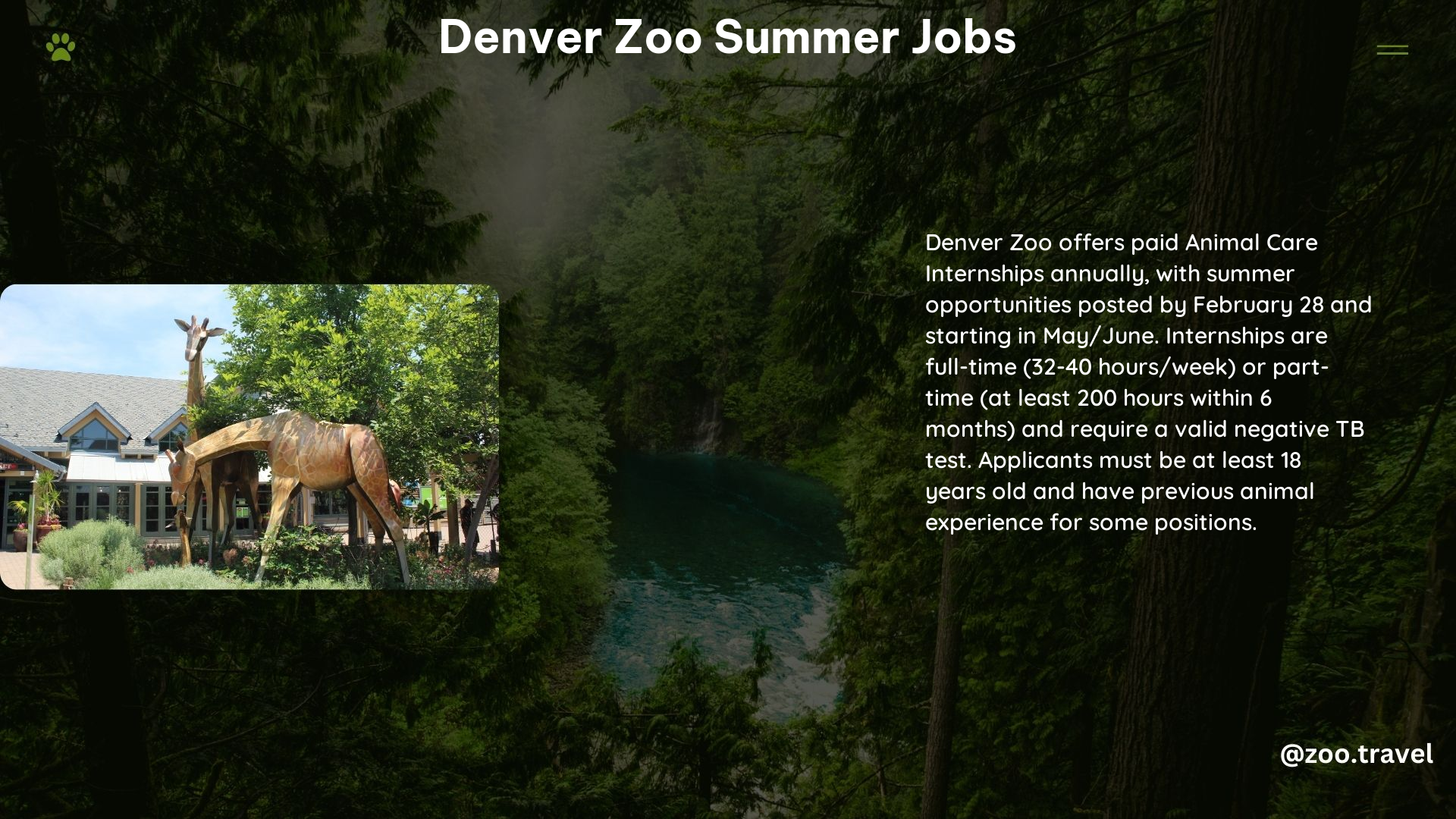 Denver Zoo Summer Jobs