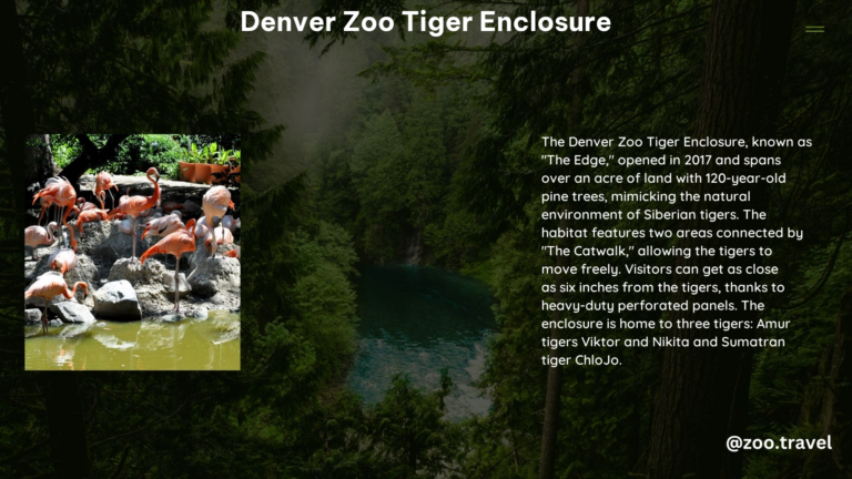 Denver Zoo Tiger Enclosure