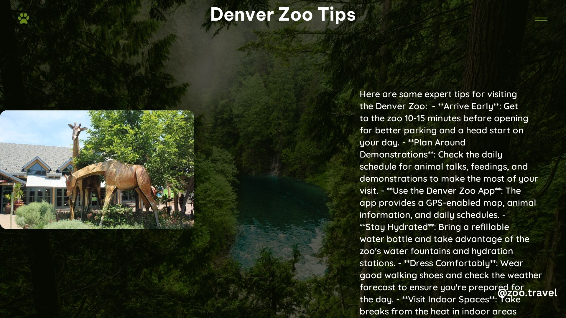 Denver Zoo Tips