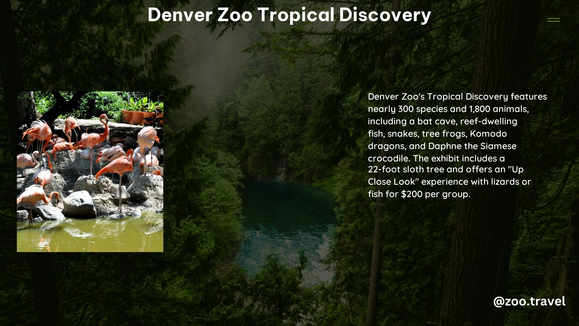 Denver Zoo Tropical Discovery