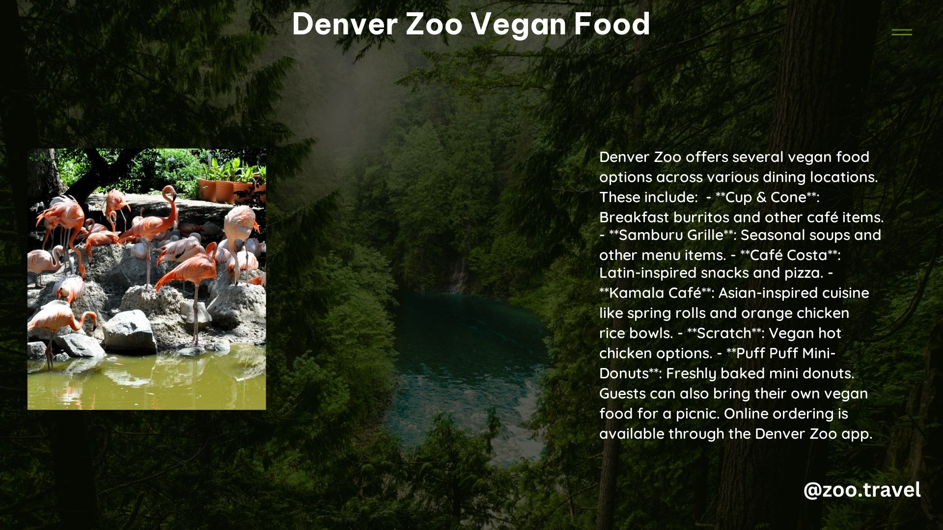 Denver Zoo Vegan Food